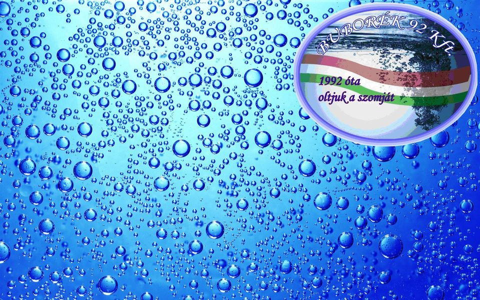 BUBORÉK-92 Kft Szikvíz Berettyóújfalu Hajdú-Bihar megye kép