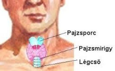 Dr. Kiss László Endokrinológus, belgyógyász kép