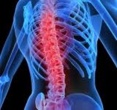 Dr. Kovács Tünde Ortopéd Szakorvos Győr kép