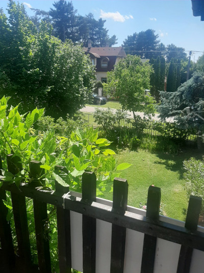 Szegfű Vendégház Zamárdiban ** kép