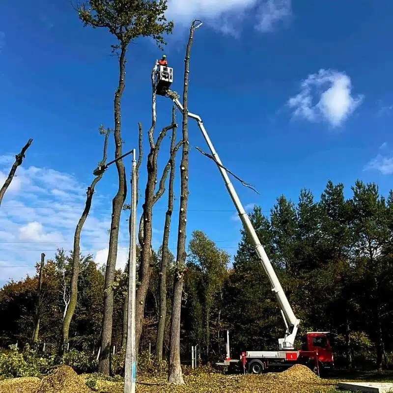 Emelőkosaras autó bérlés Pest megye kép