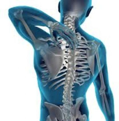 Dr. Tóth Katalin Reumatológus Eger kép