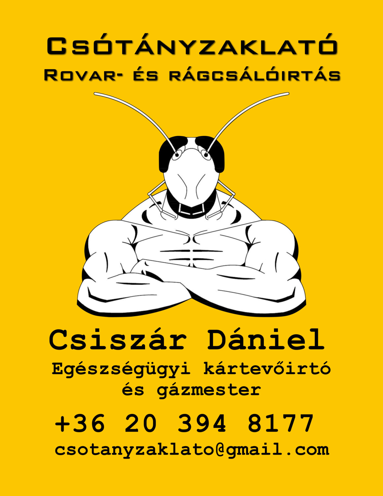 Csótányirtás Budapesten Csótányzaklató kép