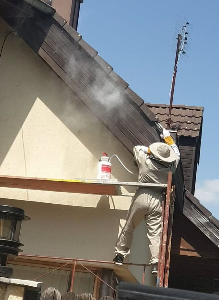 Rovarirtás felsőfokon rövid határidővel Pest megye kép