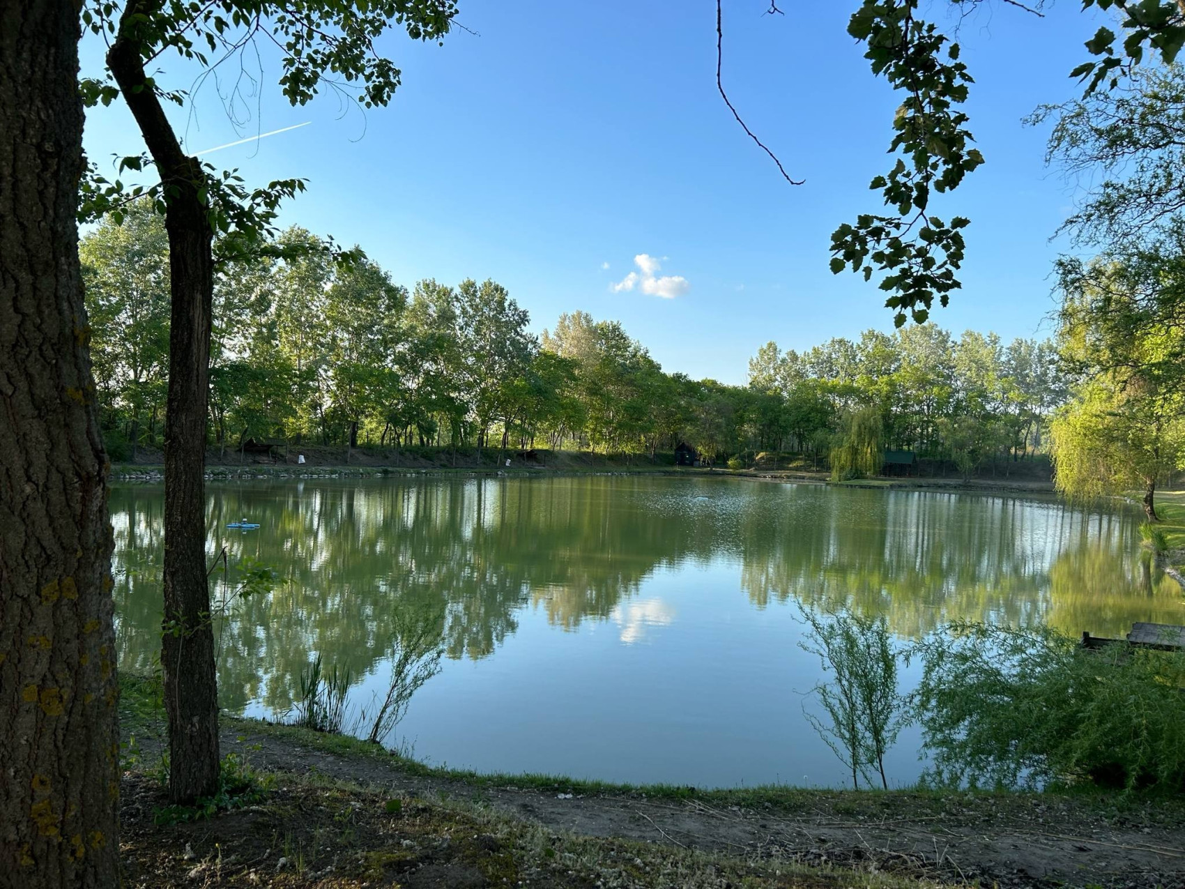Toma Tó Horgászparadicsom  Kocsér Pest megye kép