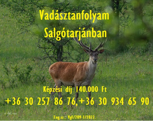 PC Mérnökiroda Kft. mezőgazdasági-, erdészeti-, élelmiszeripari-, gépészeti képzés, vadász képzés Nógrád megye kép