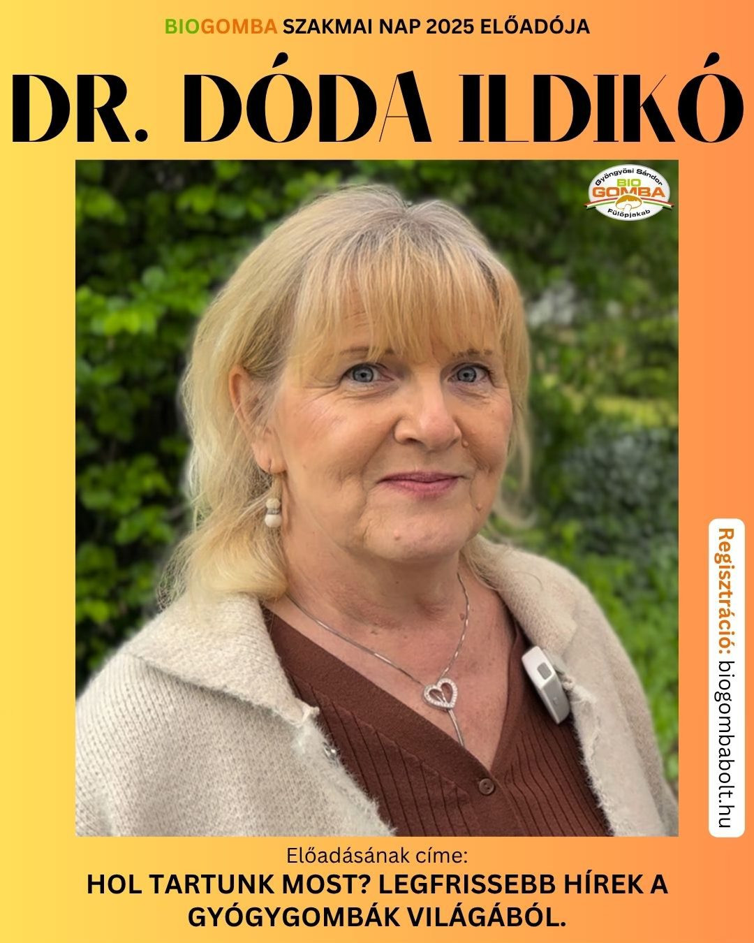 Gombakirály Bio Gyógygomba Szeged, Bio Gyógynövény Szeged kép