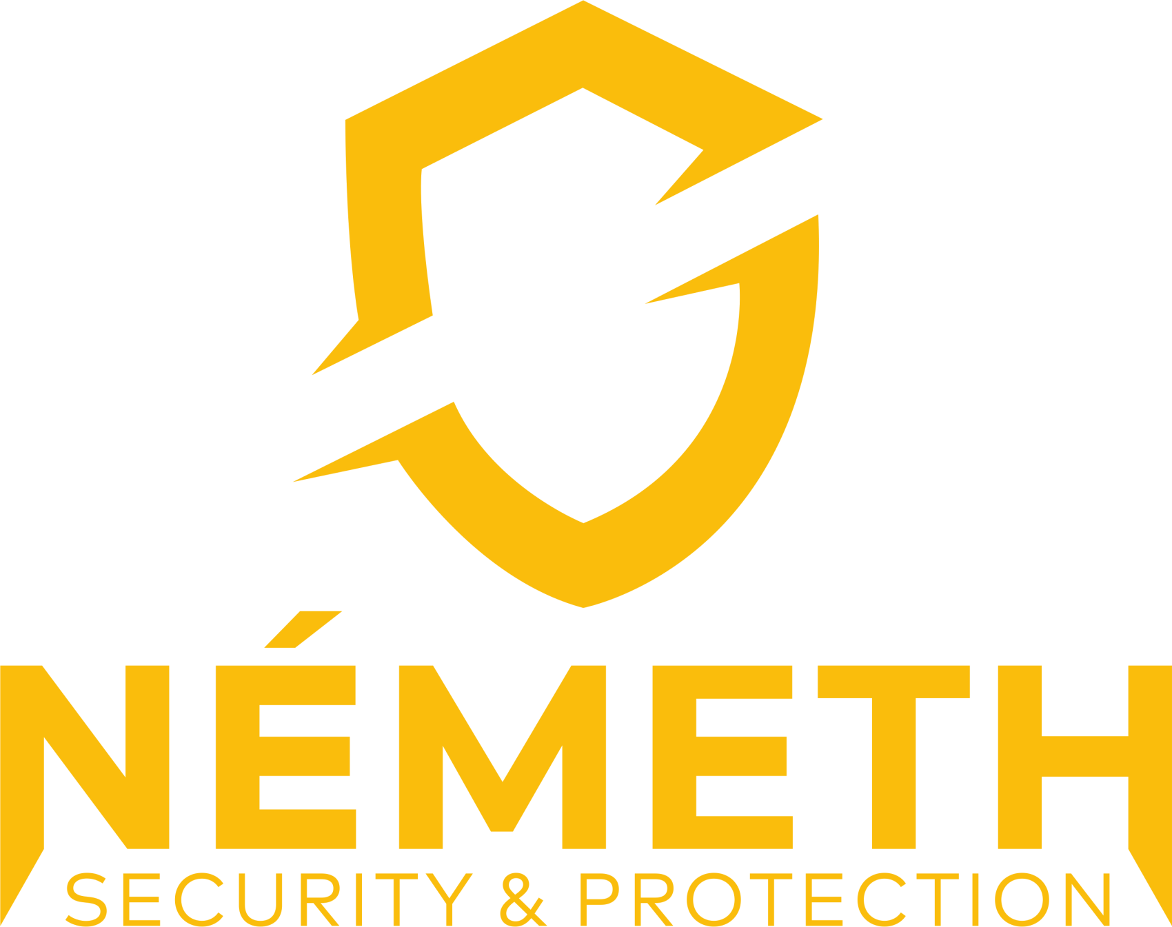 Németh Security & Protection kft kép