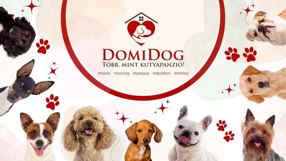 Domidog kutyapanzió Miskolc, Onga kép