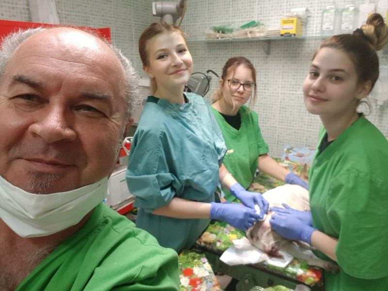 Parkvárosi Állatorvosi Rendelő állatorvos Érd kép