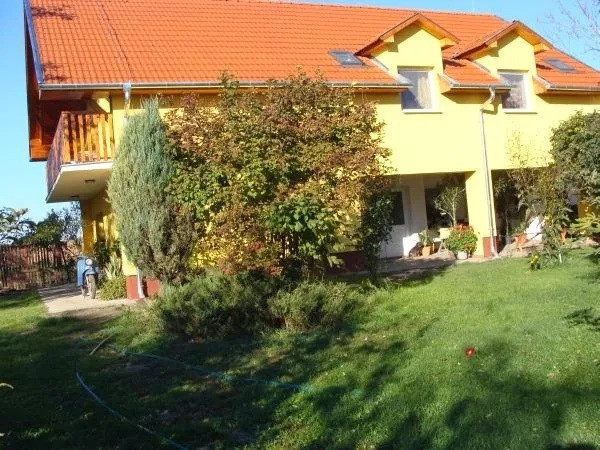 Nyugi Tanya Szentes kép