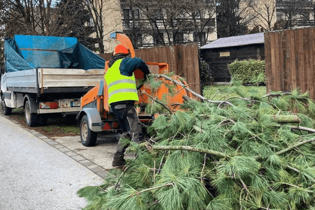 MRMP kft telektisztítás, gépi tereprendezés, támfal építés Pest megye kép
