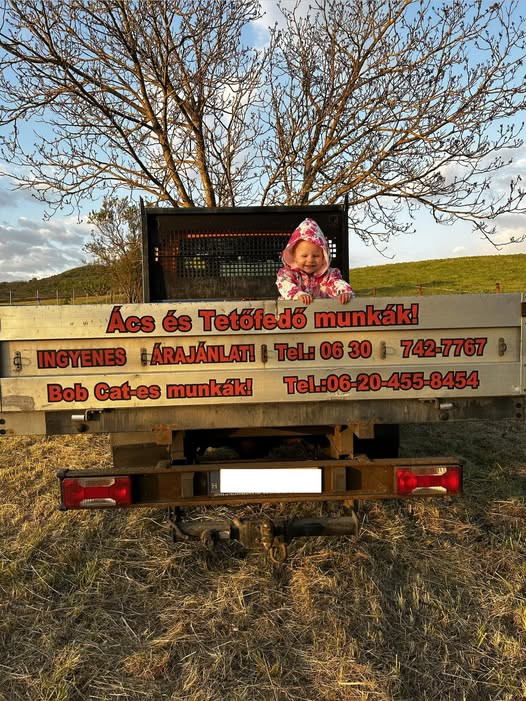 Roósz Gábor Ács és Tetőfedő munkák kép